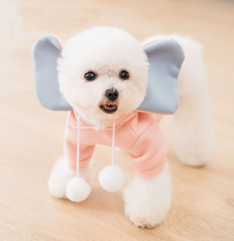 Funny Cat Clothes - Thin Velvet Elephant Dress