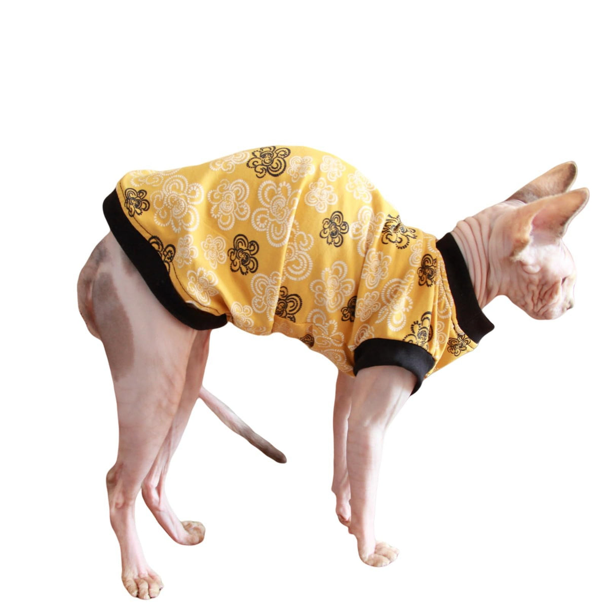 Sphynx Cat Clothes Vest Hairless Cat T-Shirts Pet Kitten Clothes Kitten Shirts Vest Cats & Small Dogs Apparel (Dot Flower Round Neck Small)