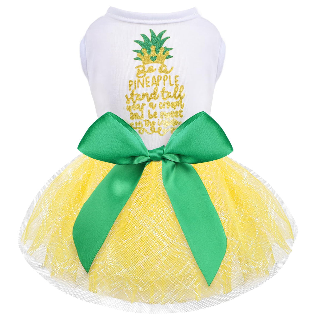 Dog Dress for Dog Spring Summer，Dog Dress for Small Dogs Girl，Dog Skirt Female Puppy Dresses Pet Dress Yorkie Chihuahua Tulle Dress Birthday Party Lace Costume Tutu Skirt Apparel