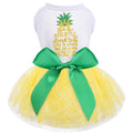 Dog Dress for Dog Spring Summer，Dog Dress for Small Dogs Girl，Dog Skirt Female Puppy Dresses Pet Dress Yorkie Chihuahua Tulle Dress Birthday Party Lace Costume Tutu Skirt Apparel