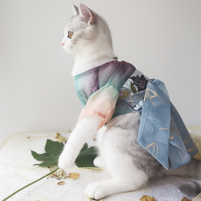Antique Cat Hanfu Clothes for Spring Breeze
